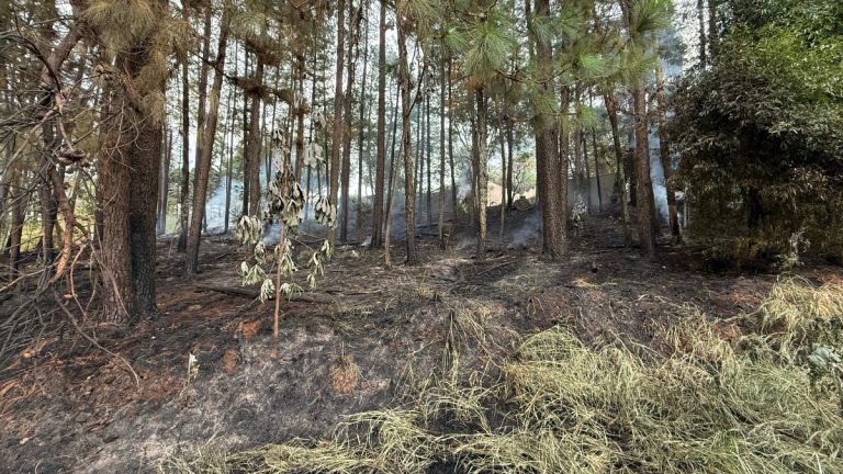 Incêndio atinge o Pico da Unaerp