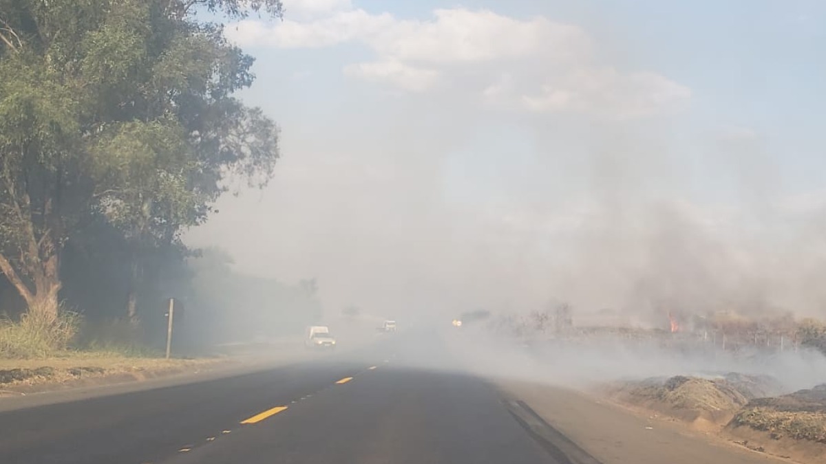 incêndios florestais