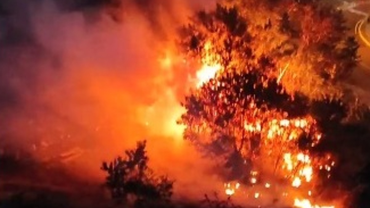 incêndio área de mata