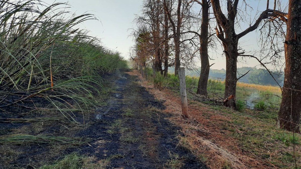 incêndio mata Bonfim Paulista