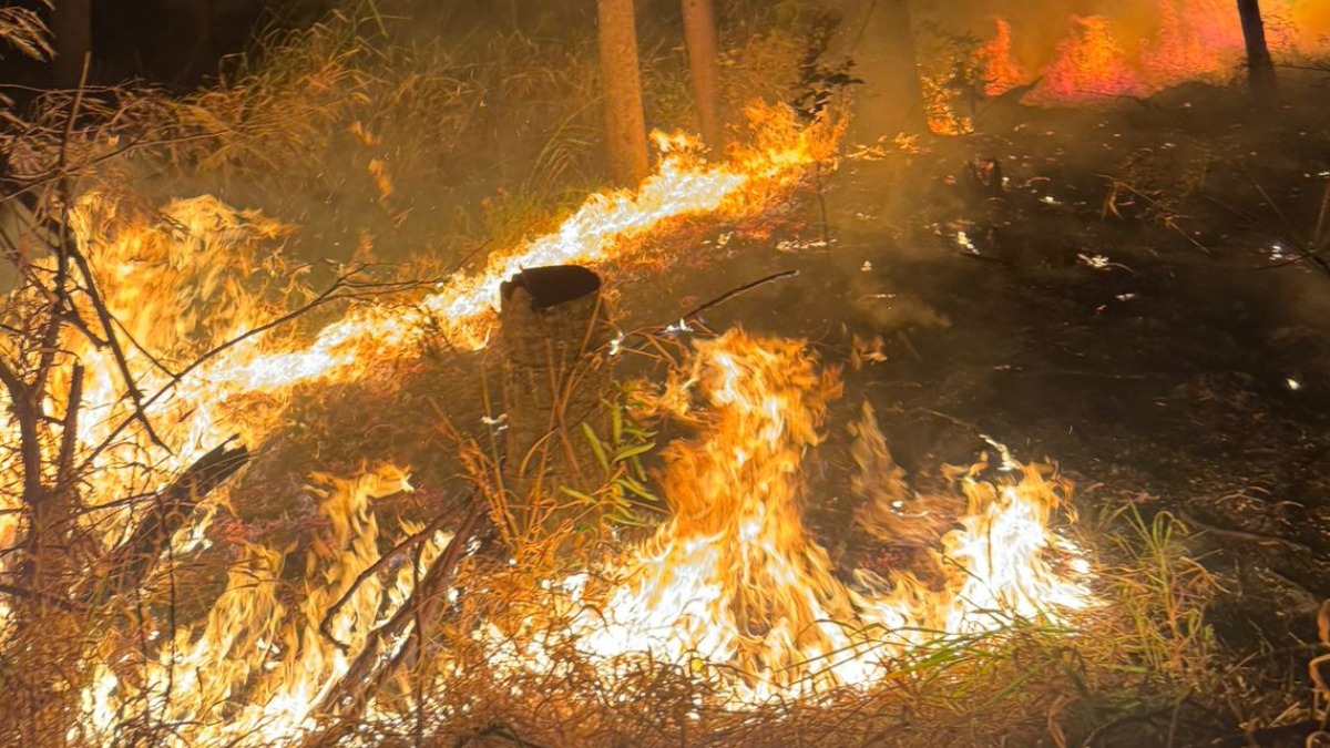 Incêndio de grandes proporções atinge área