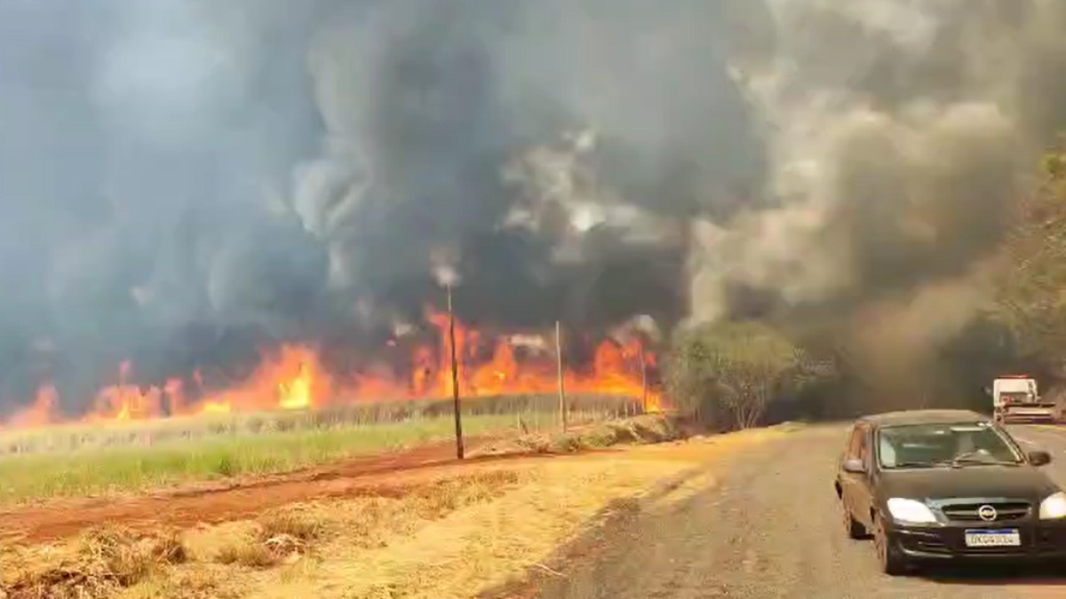 incêndios no agronegócio paulista