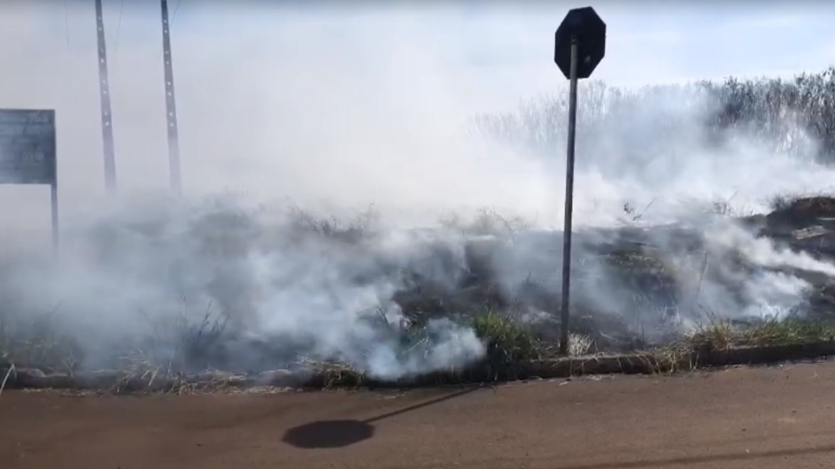 incêndio canavial Zona Leste