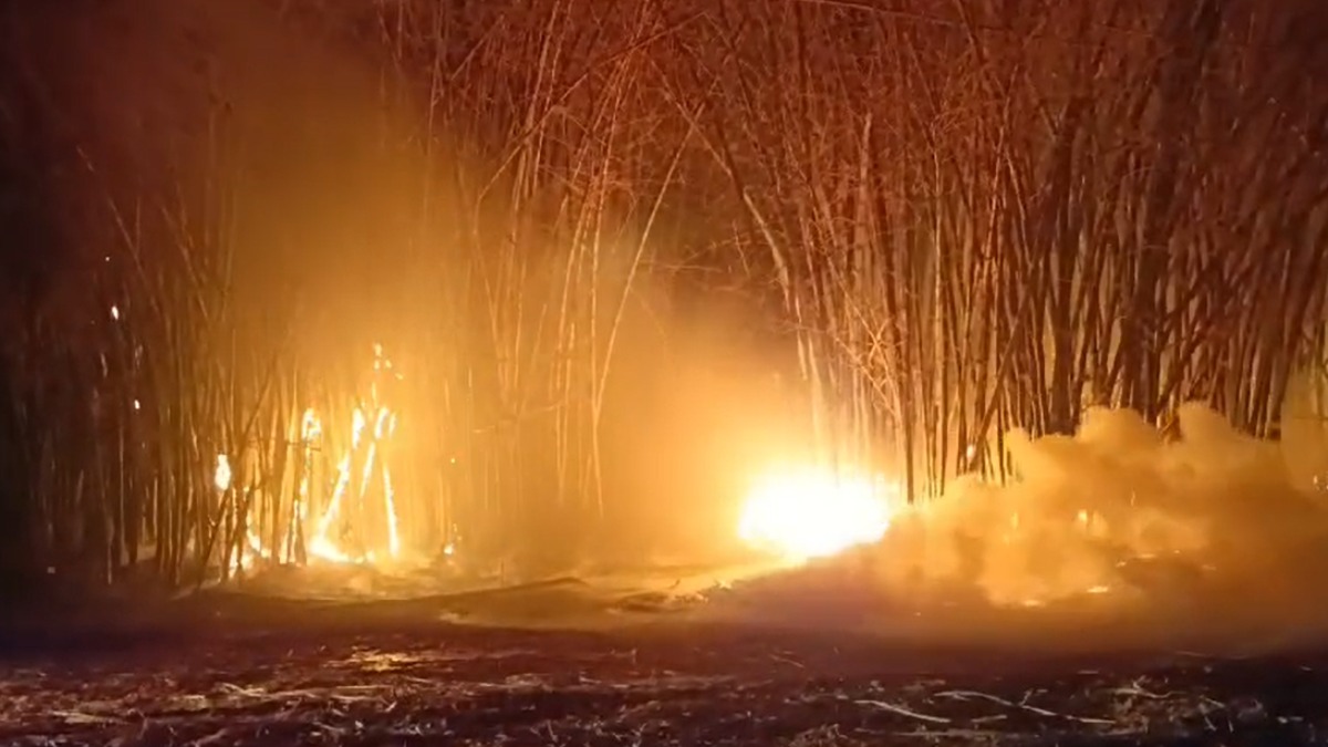 Gabinete de crise incêndios