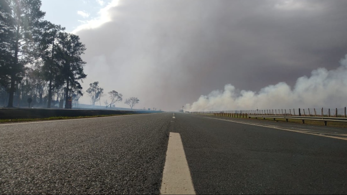 incêndios florestais