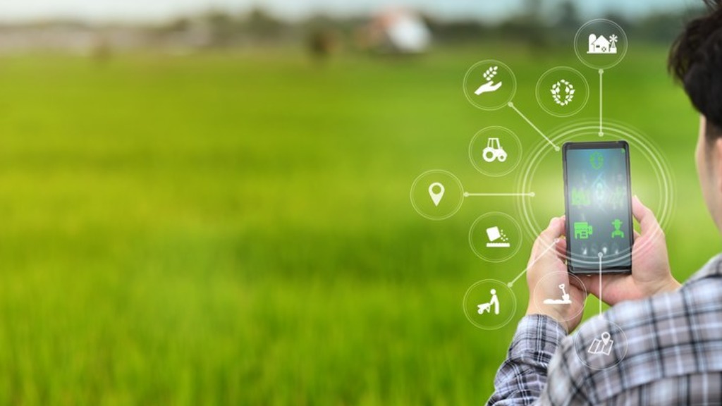 algoritmos redes sociais