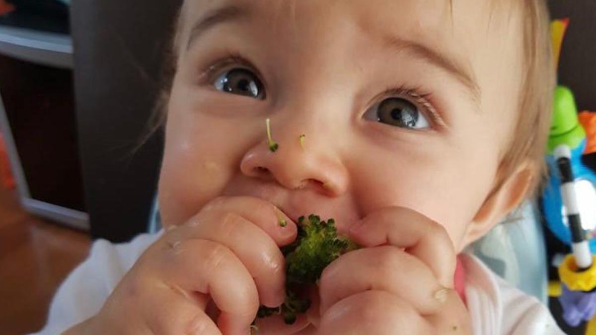 autismo e seletividade alimentar