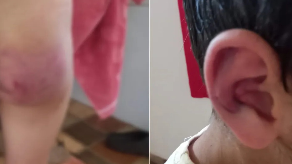 adoção de crianças