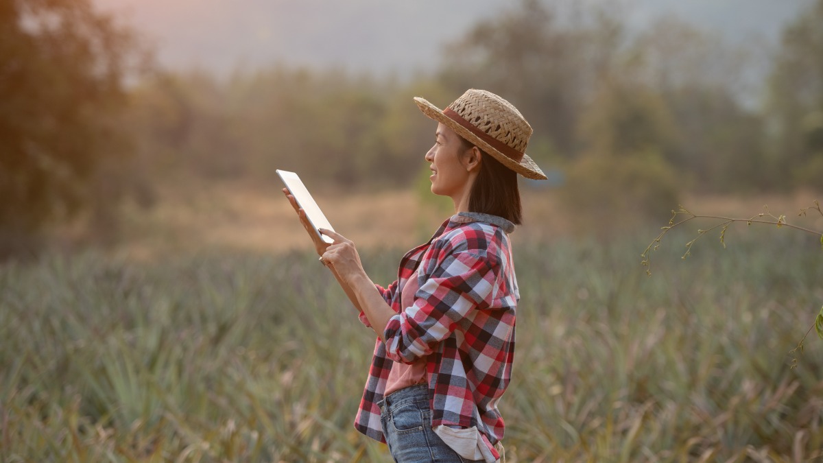 desenvolvimento rural