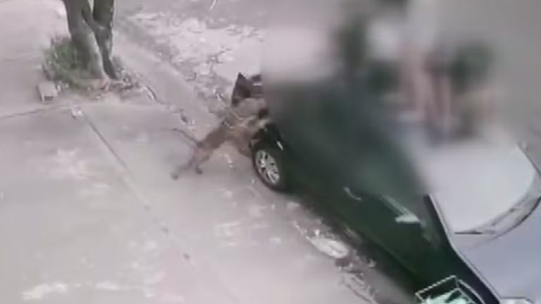 Jovens sobem em carro para tentarem