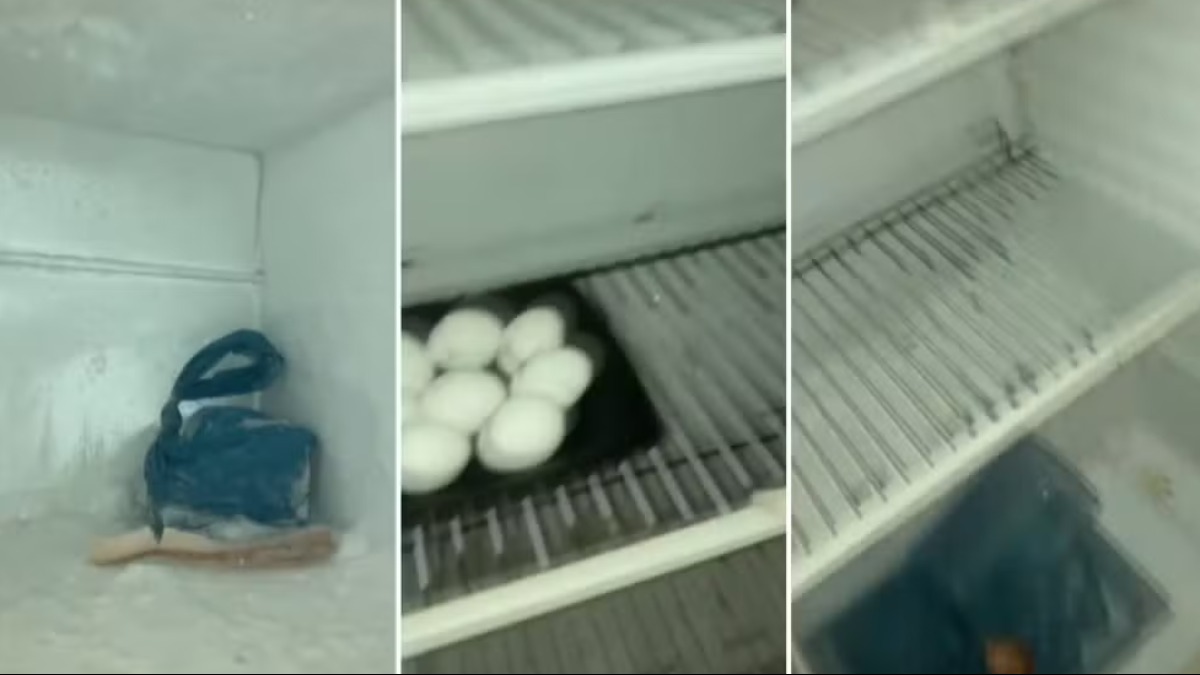 Garotos encontrados sem comida em Jaboticabal