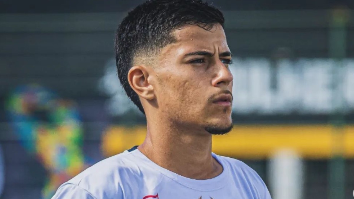 renovação contrato