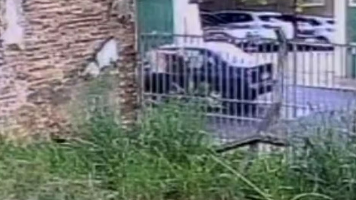 assalto Ribeirão Preto