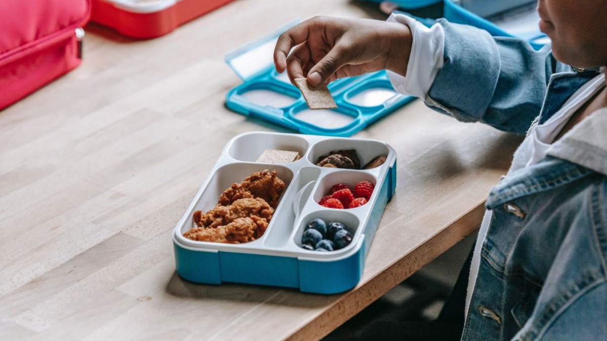 alimentação escolar