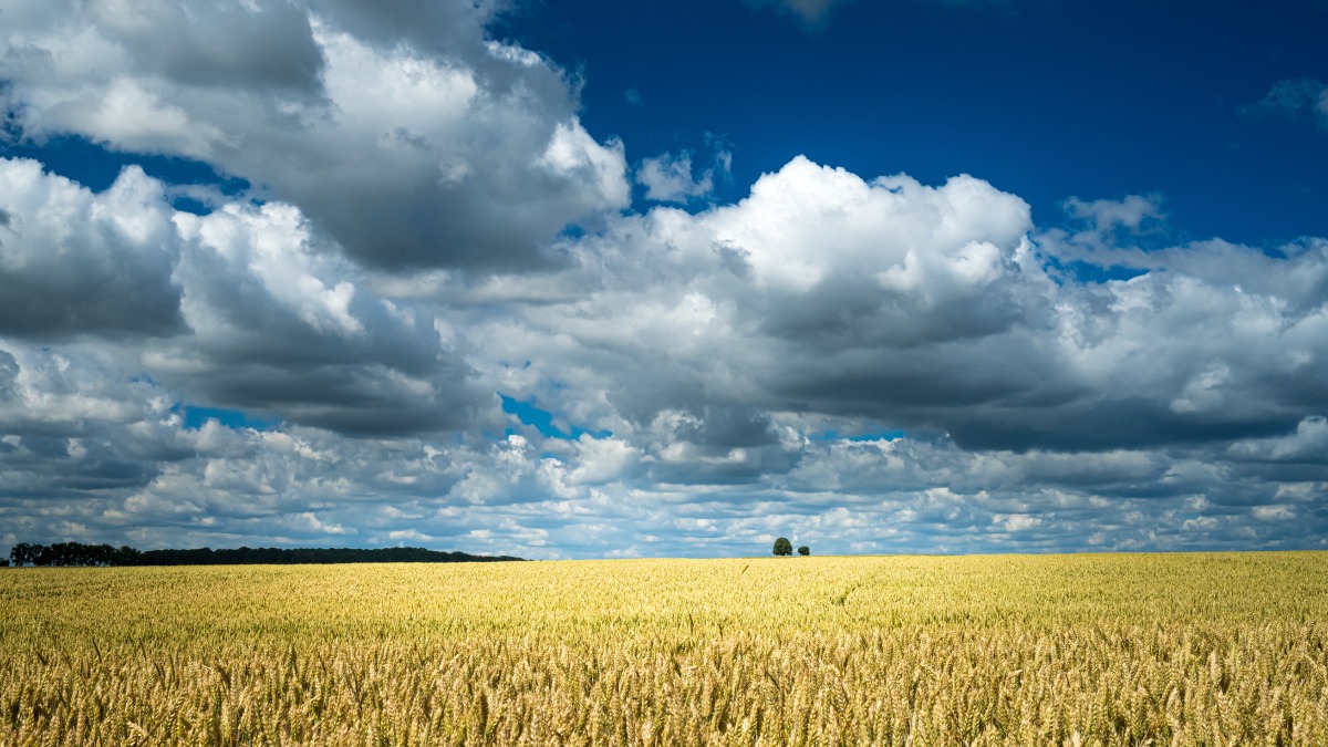 mudanças abruptas no tempo