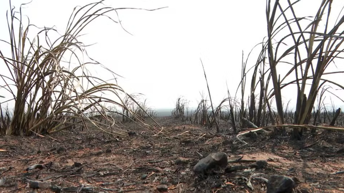 alerta de incêndios