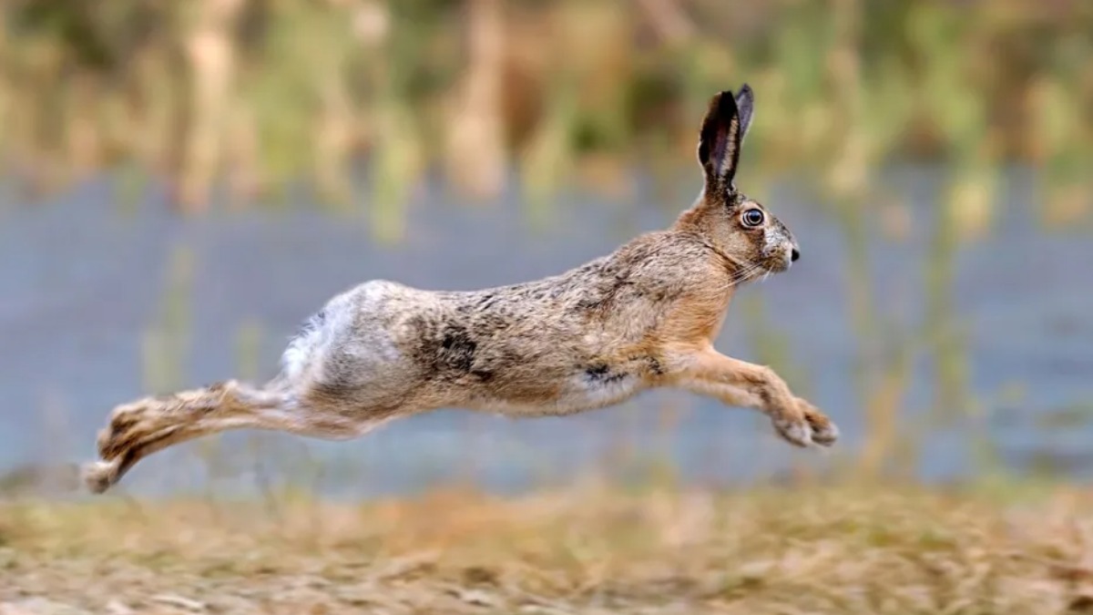 Produtor perde 20% de sua horta