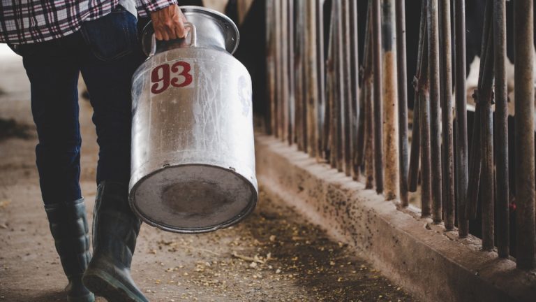 Preço do leite pago aos produtores