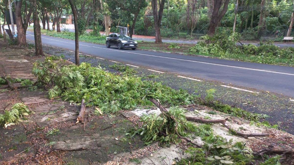 Equipes realizam limpeza na avenida Costábile