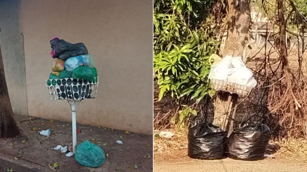 Coleta de lixo Zona Norte