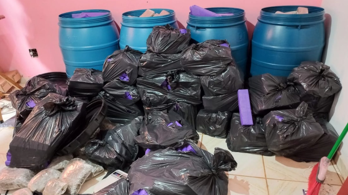 Apreensão de maconha