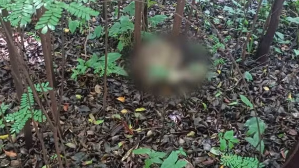 Secretaria de Saúde aguarda contraprova de