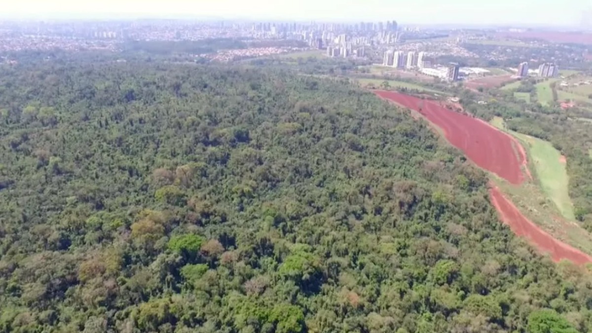 transferência área Mata Santa Tereza