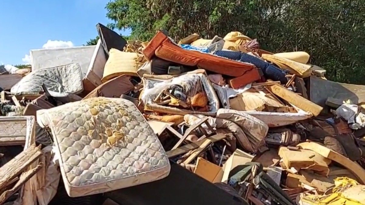 combate Aedes aegypti