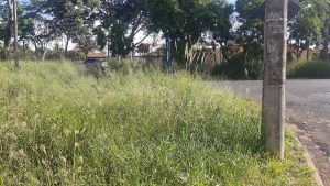 Zeladoria urbana pressiona prefeituras e expõe limites do orçamento público