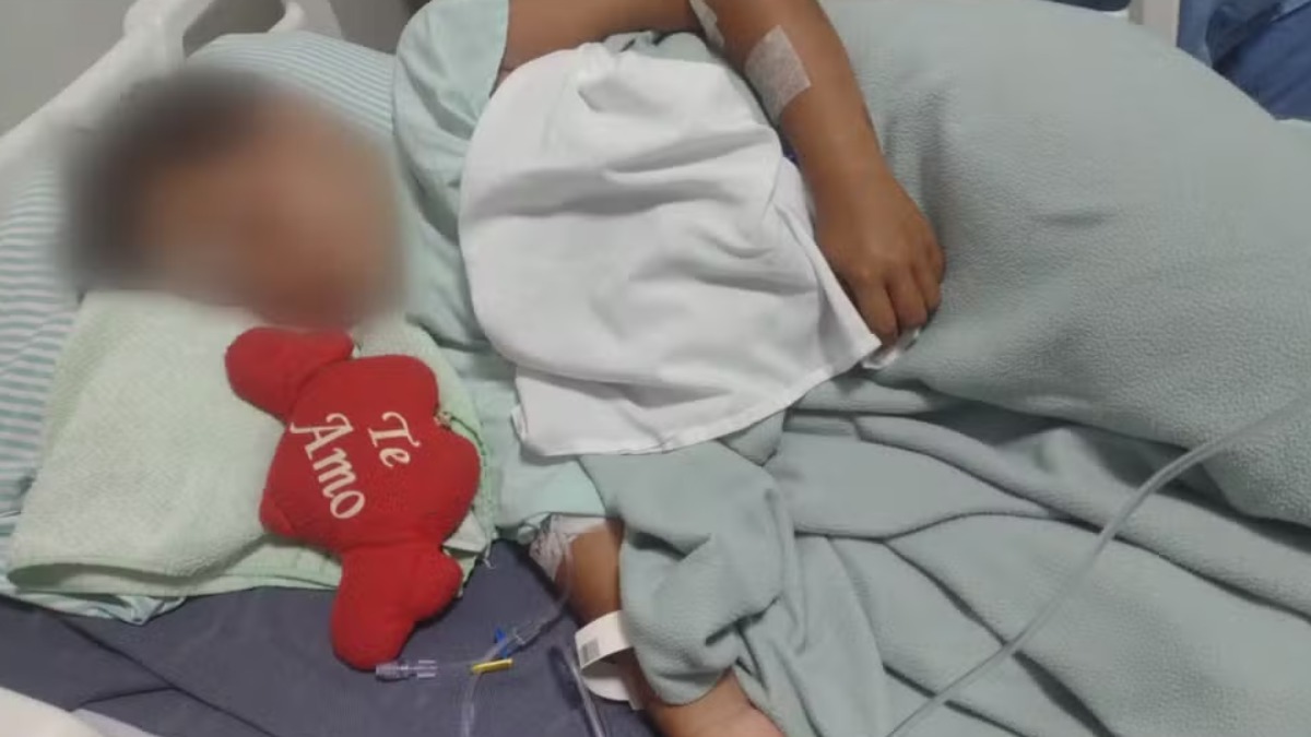 ataque pitbull criança