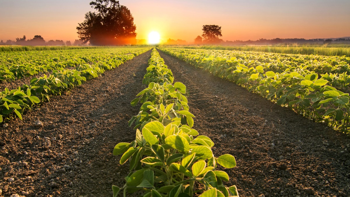 agro brasileiro 2023