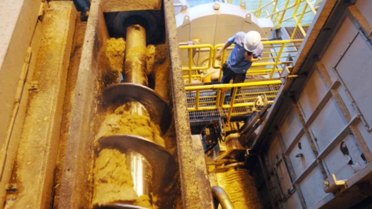 moagem cana-de-açúcar