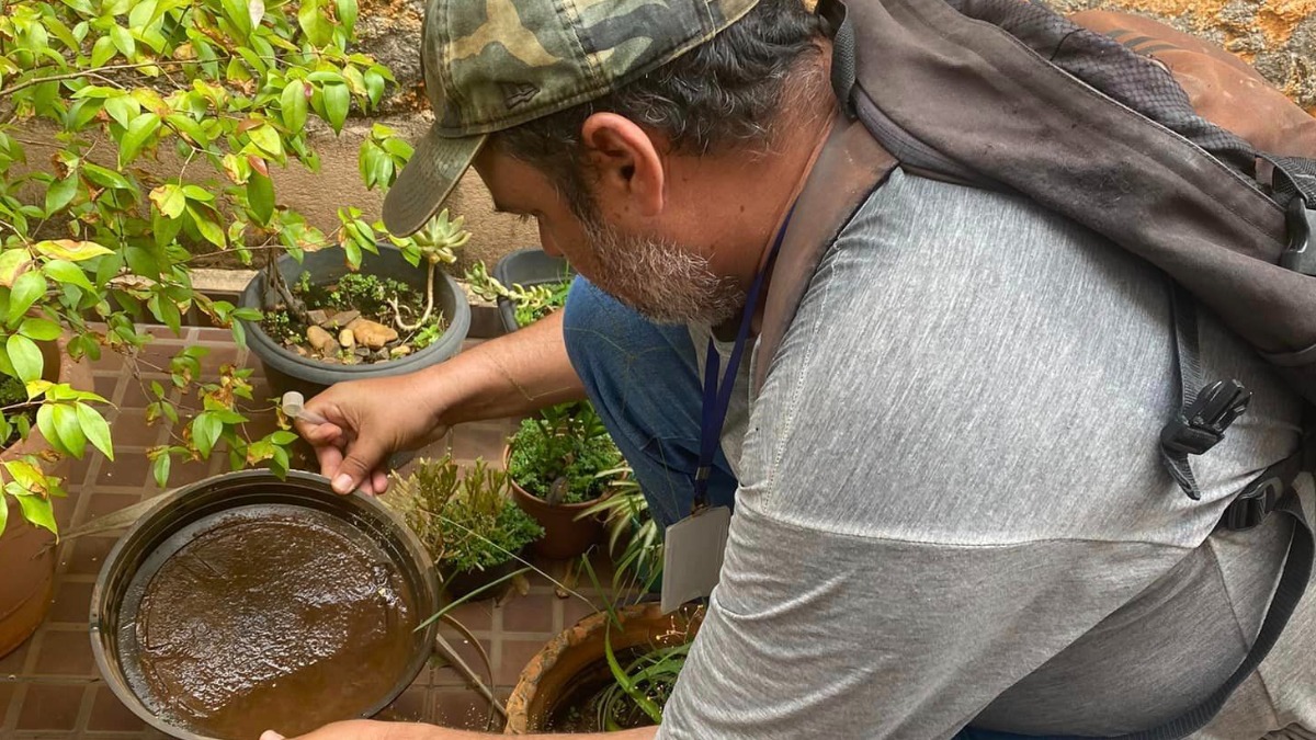 Explosão dos casos de dengue assusta