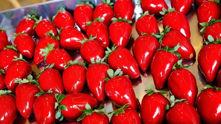 Fenômeno do “morango do amor” exemplifica