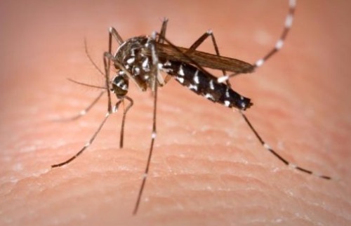 Sobe para seis o número