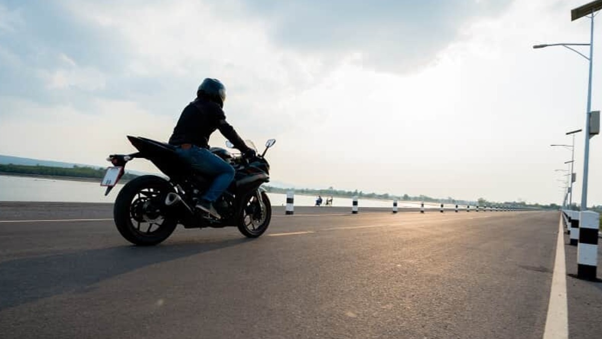 acidentes de trânsito com animais