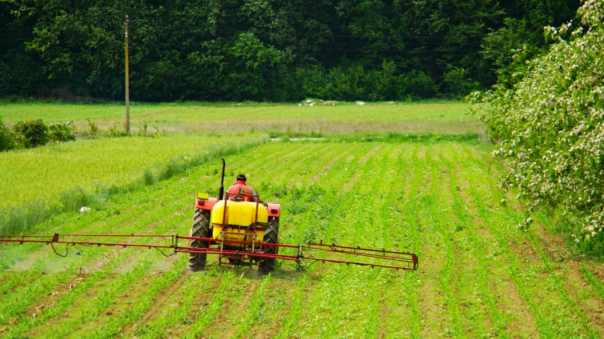 agrotóxicos em alimentos
