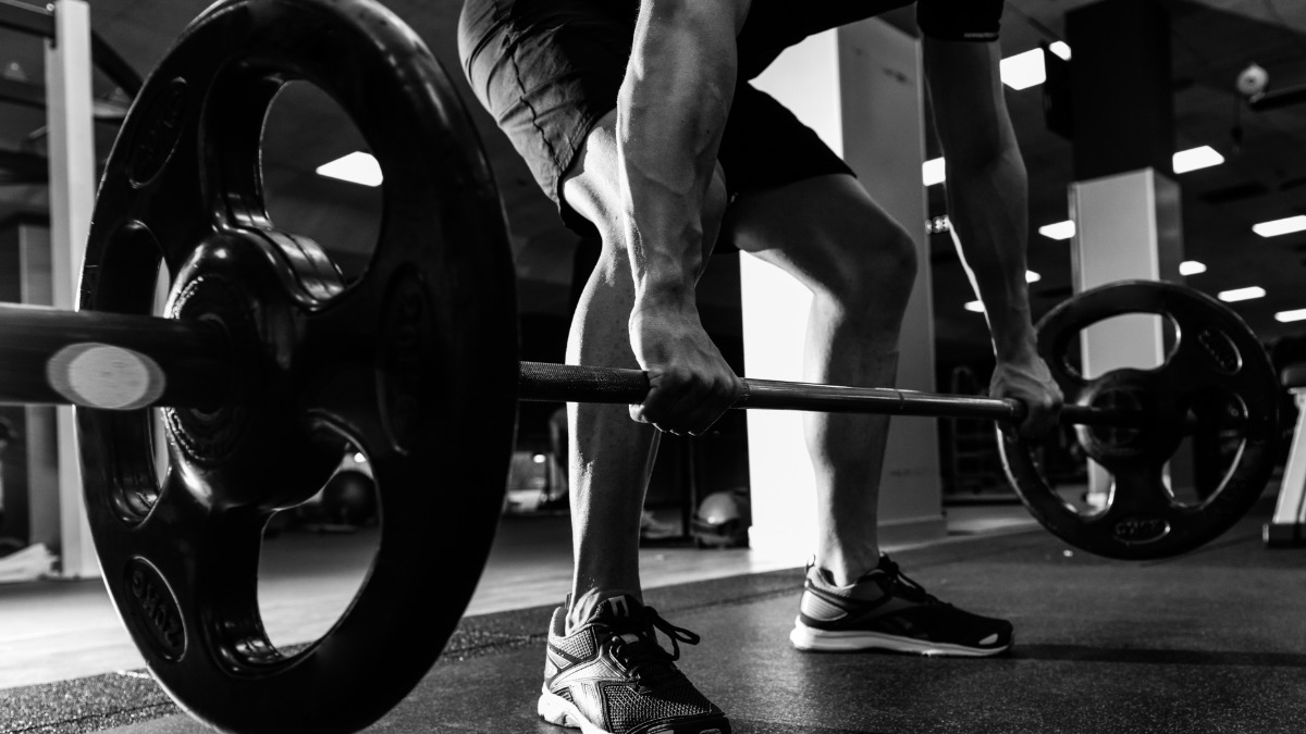 Você sabe qual a importância de