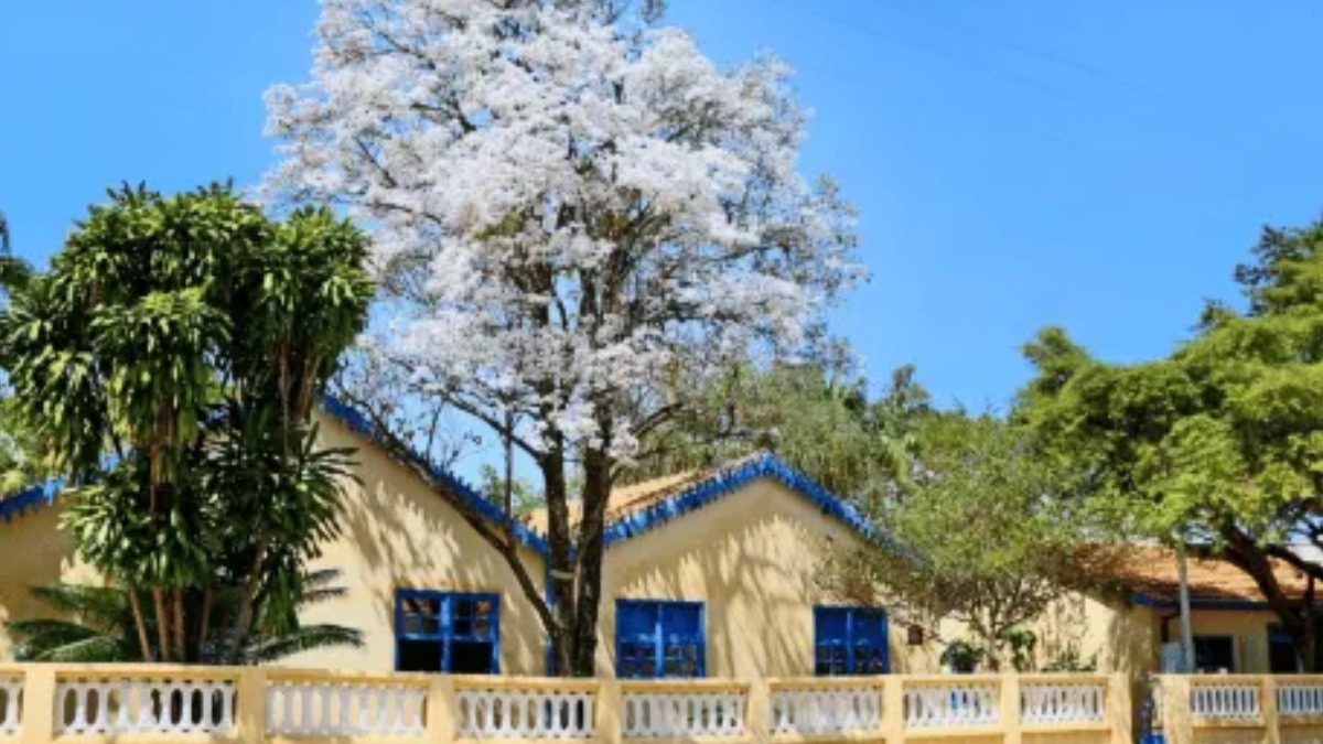 Casa de Portinari realiza ‘Dia da