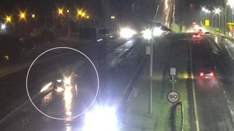 MP denuncia empresário suspeito de atropelar