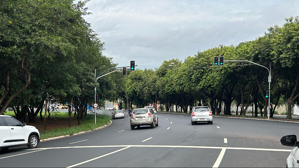 semáforos rotatória Castelo Branco