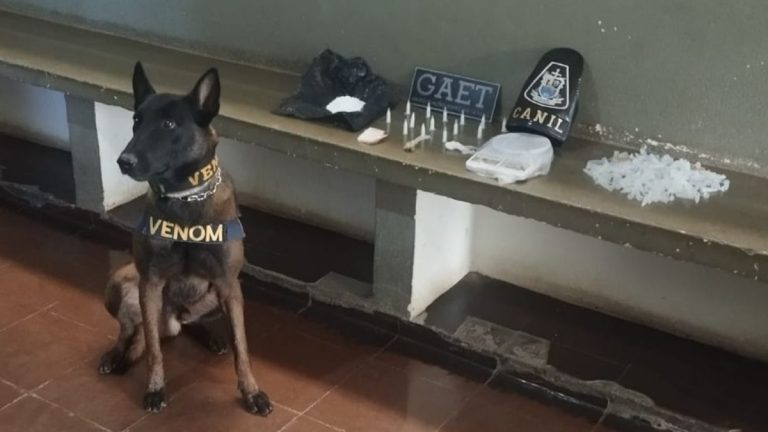 Operação da Polícia Civil termina com