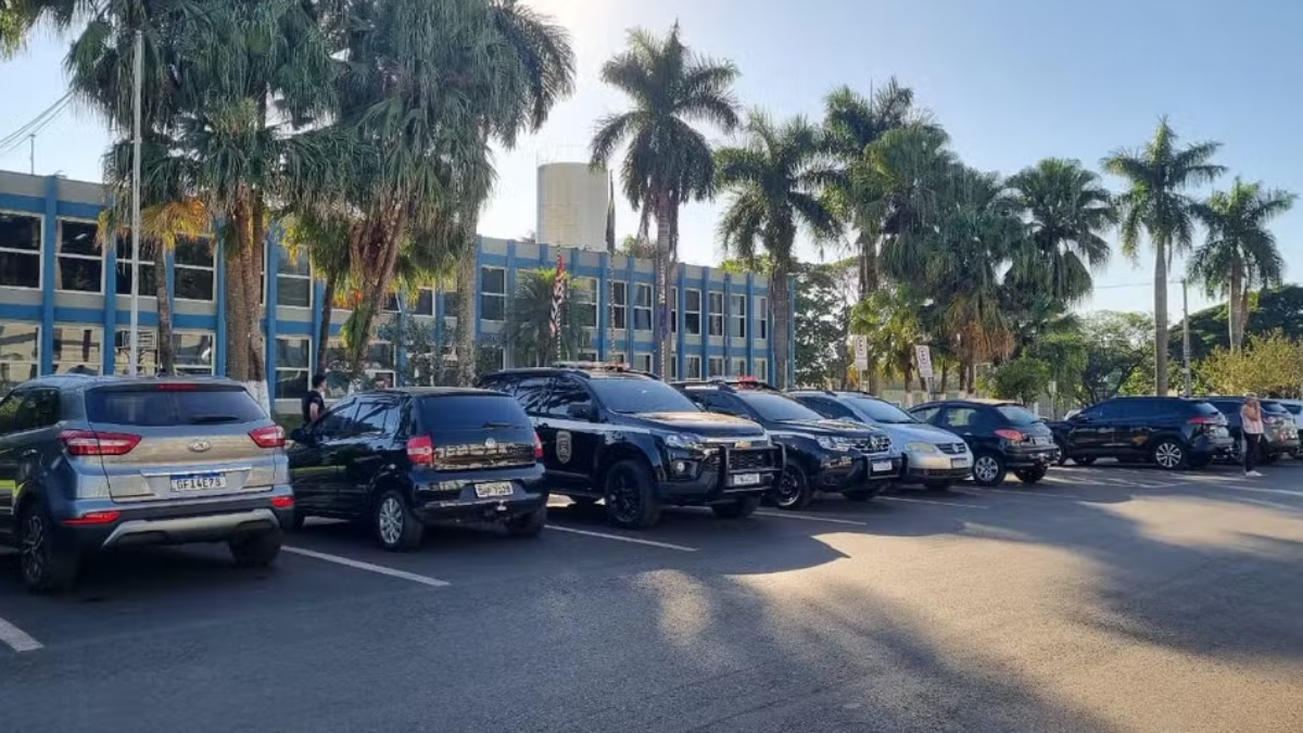 Documentos são apreendidos em operação