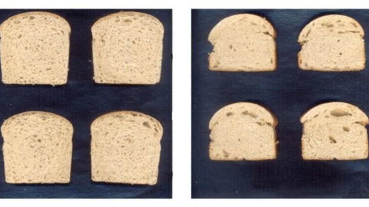 pão prevenção asma