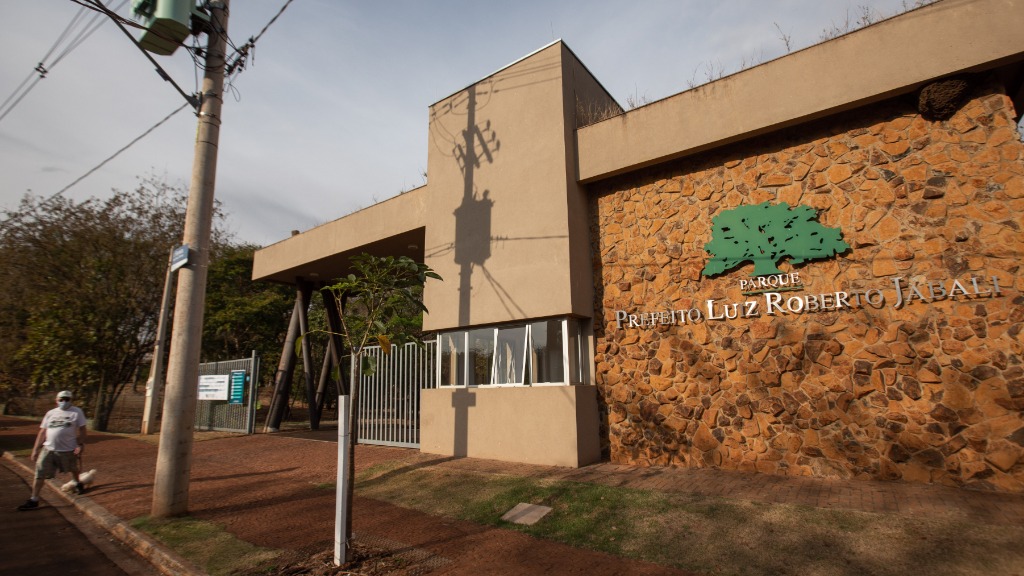 manutenção de árvores