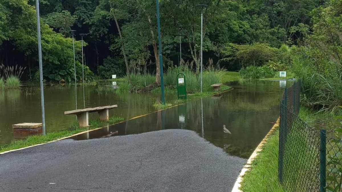 Parque Curupira interditado