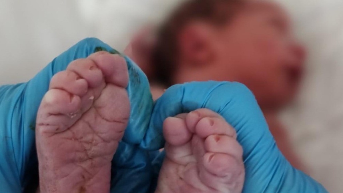 Universidade de Franca inaugura espaço