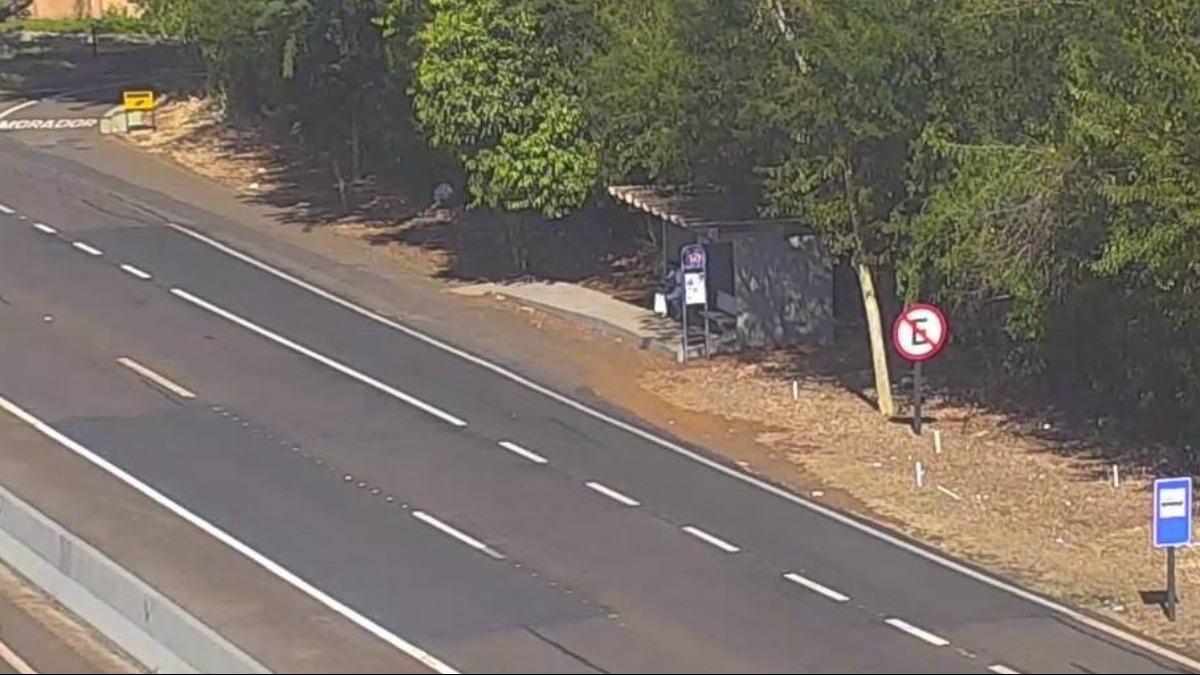 passarela rodovia José Fregonezi