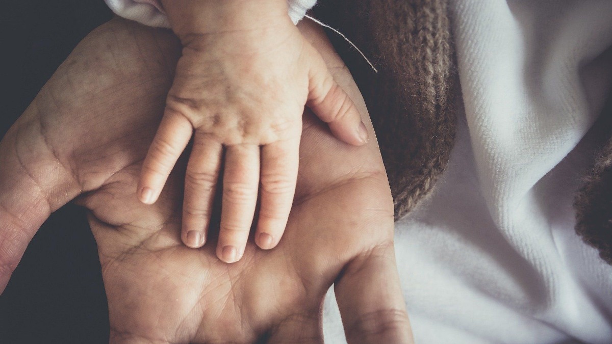 investigação de paternidade