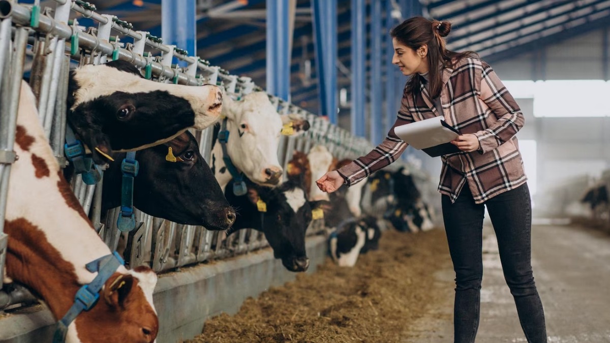 Dia Nacional do Pecuarista: comemorado